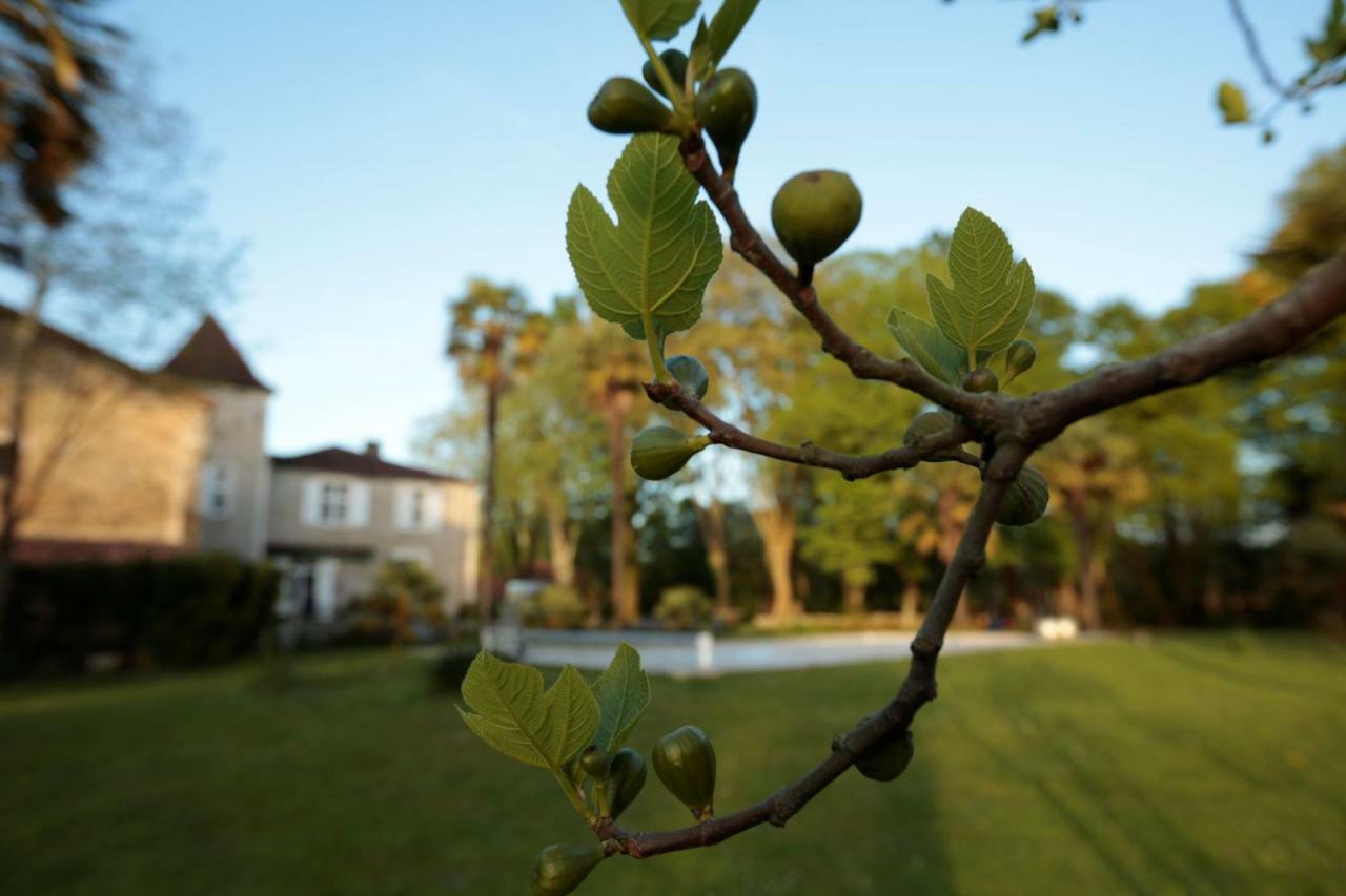 Chateau Saint Martin B&B Pouillon エクステリア 写真