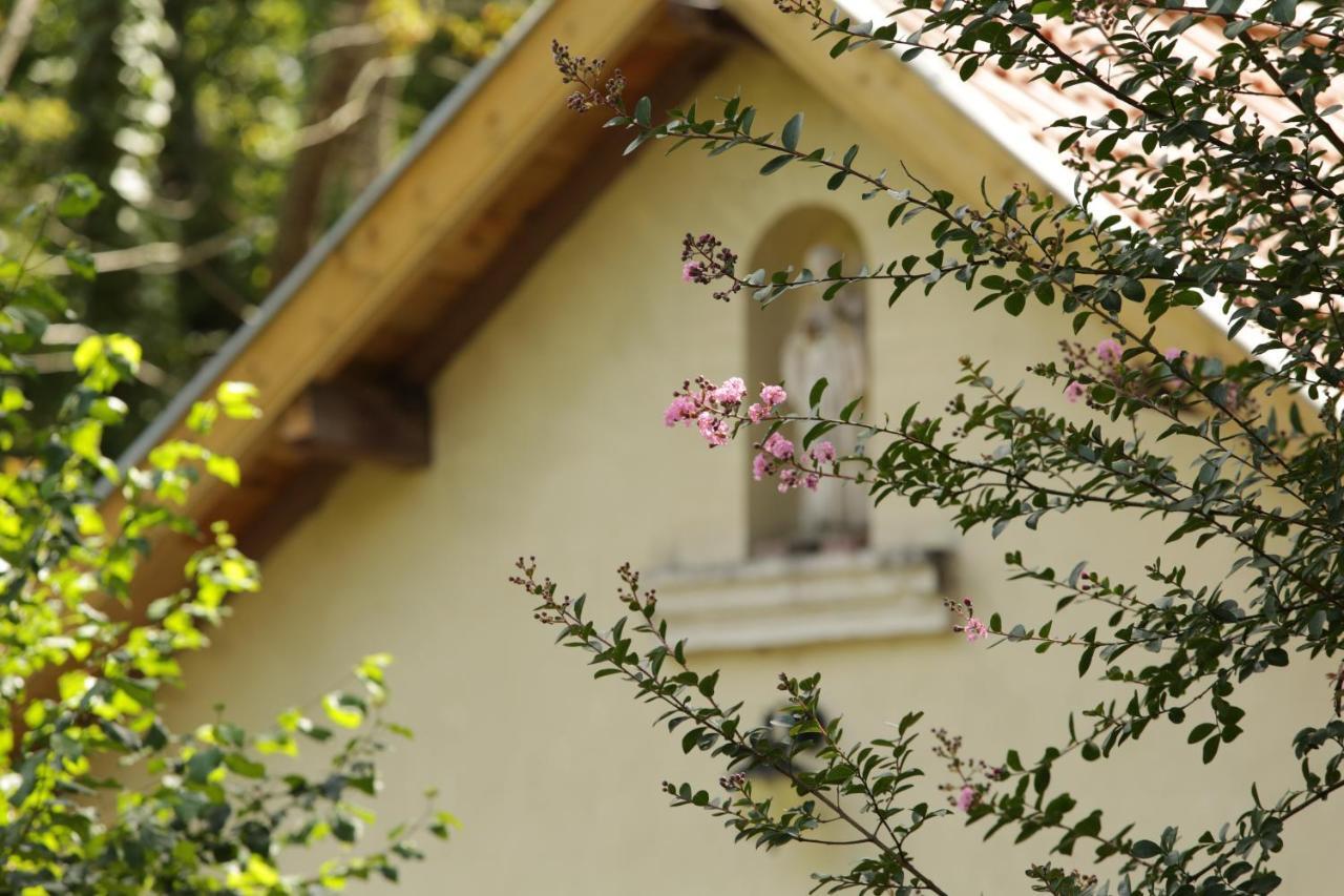 Chateau Saint Martin B&B Pouillon エクステリア 写真