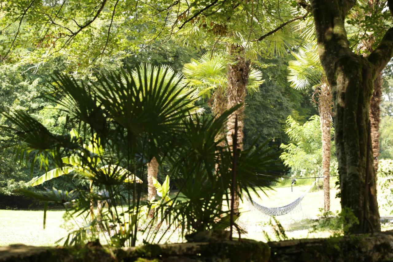 Chateau Saint Martin B&B Pouillon エクステリア 写真